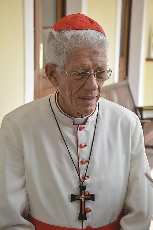 Cardinal Maurice Piat