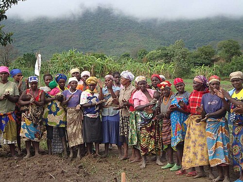 Dr. Joyce Tsoka-Gwegweni
