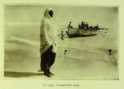 Maxamed Siciid Samatar†