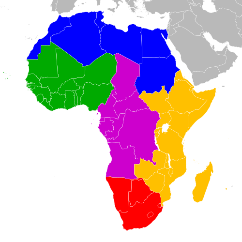 Prof. Carlos Cardoso†