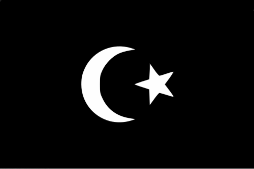 Sheikh Muhammad Sanusi II