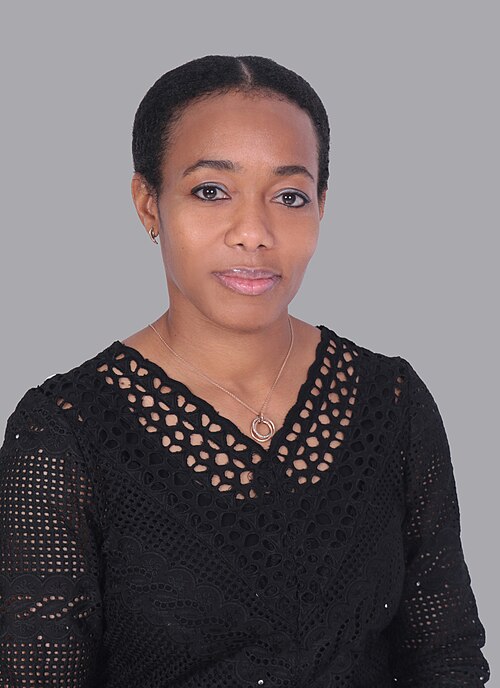 Zanetor Agyeman-Rawlings - MP for Klottey-Korle & Activist